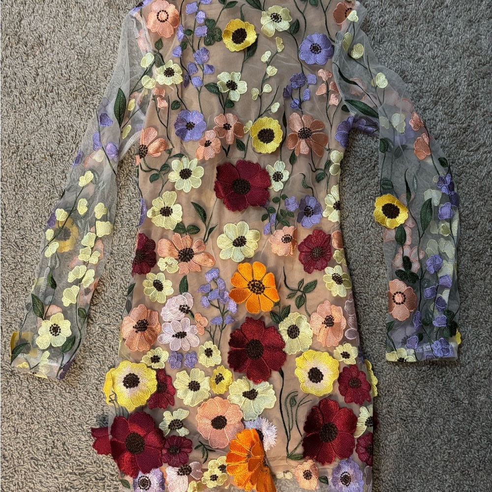 Floral Embroidered Sheer Dress